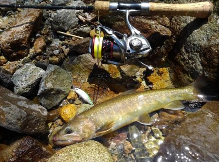 渓流ミノーイング